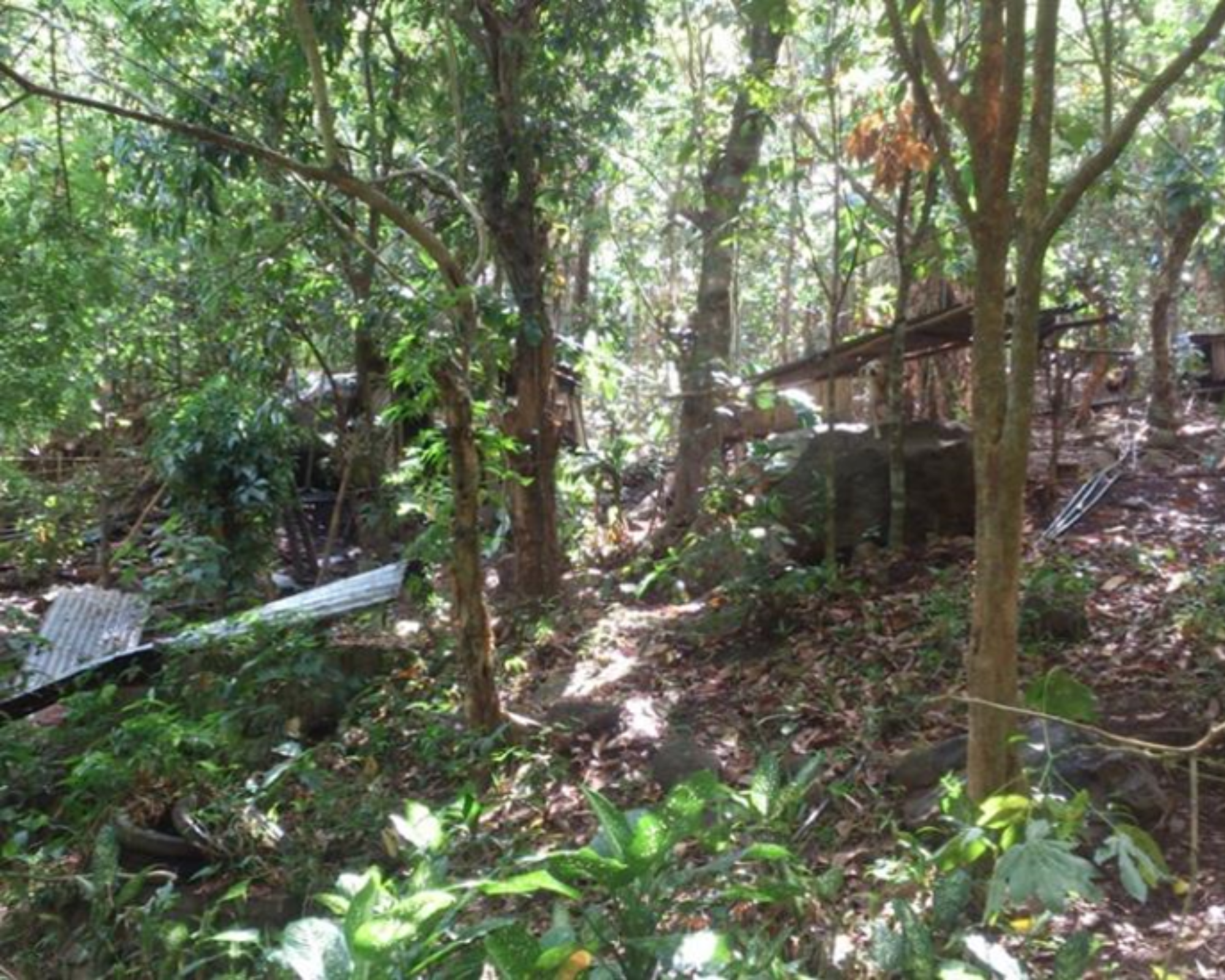 UPPER WHITE, BRGY. QUINALE, PAETE, LAGUNA